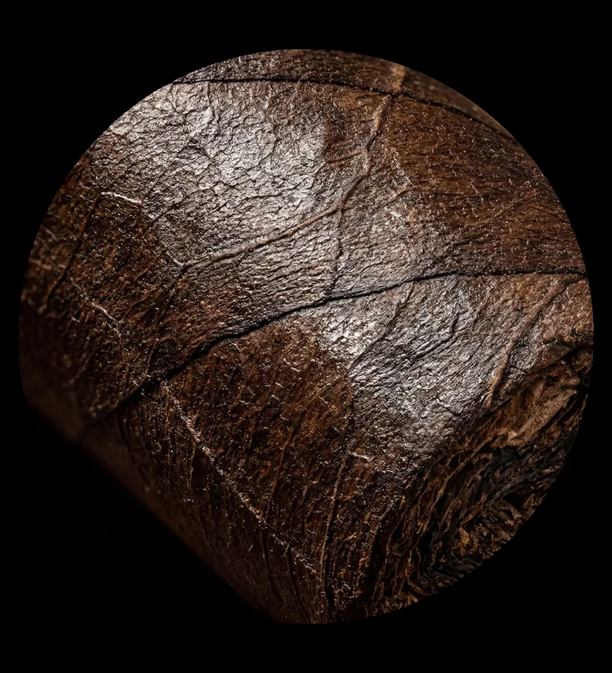 Ligero tobacco leaf media