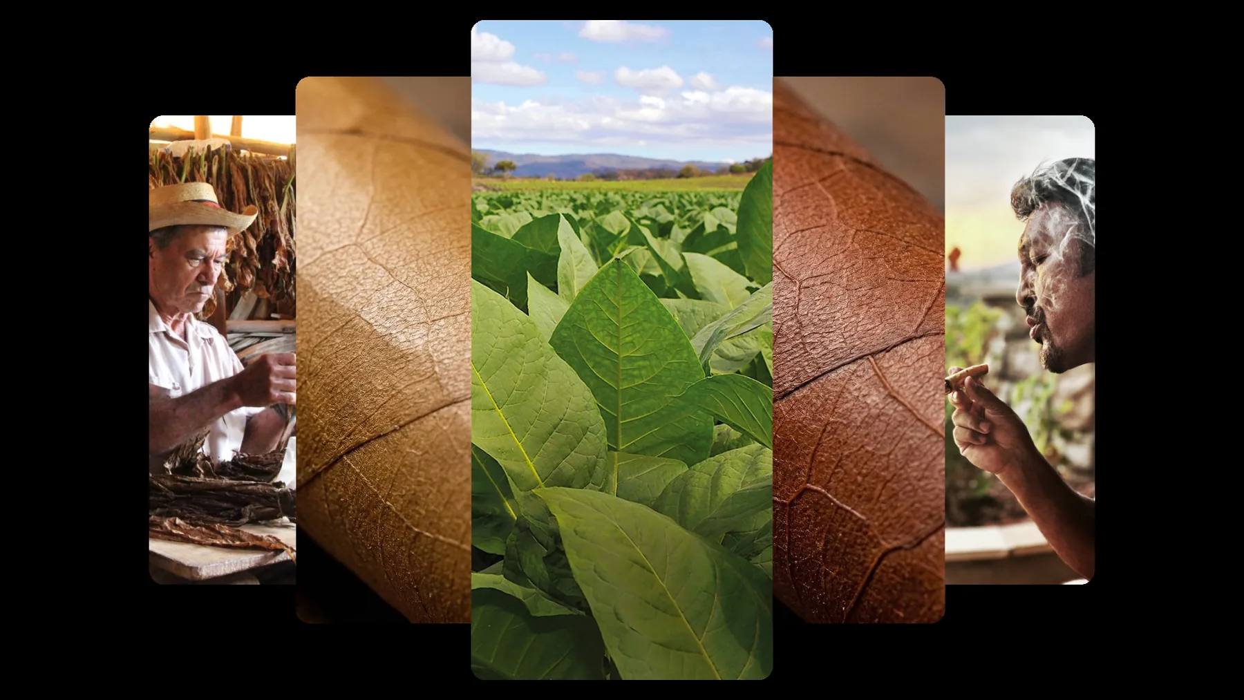 Private label packaging architecture visual