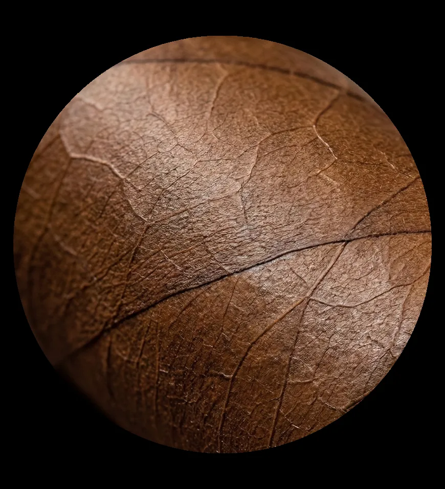 Seco tobacco leaf media